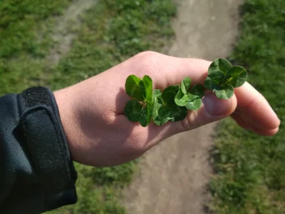 SpecjalistaOdNiczego - Wysyłać totolotka?

#heheszki