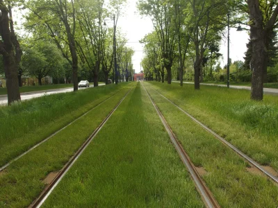 Sowiet_Kusy - Łódź, ulica Dąbrowskiego
#lodz #tramwaje #tramwajeboners #cityporn #wi...