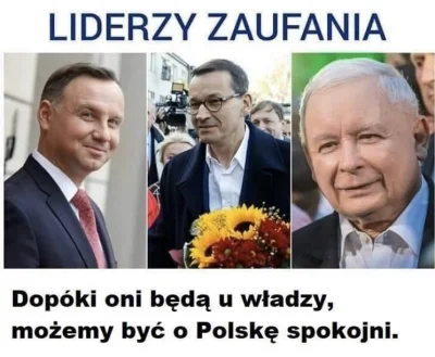 Proktoaresor - #polityka