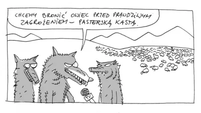 Kempes - #humorobrazkowy #heheszki #wilq