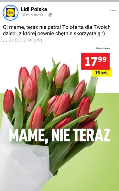 arb85 - Leć w gorące !
#lidl
#heheszki
#memy
#reklamakreatywna