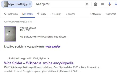 e.....u - @Anty_Chryst: Tak zwany Wolf Spider, polski zespół thrashmetalowy założony ...