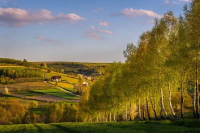 vitoosvitoos - Z Pogórza Strzyżowskiego, Jaszczurowa.
https://witoldochal.blog/2020/...