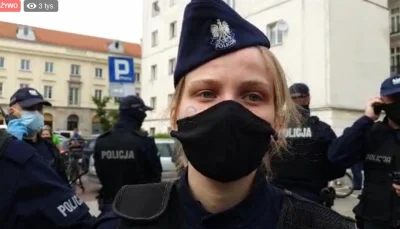 LM2137 - szara myszka dla anonka
#protest