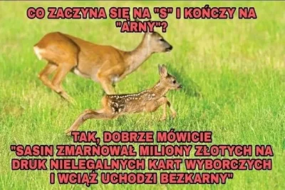 czterypalcewnatalce - #pis #wyboryprezydenckie2020 #sarny