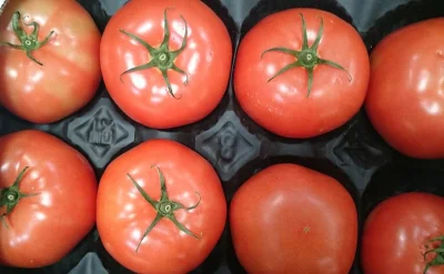 Nemayu - @hahacz: Przecież nadal można kupić legitne pomidory. Wiadomo te za 5 groszy...