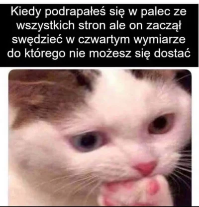 Quear - czemu tak jest (╯︵╰,)