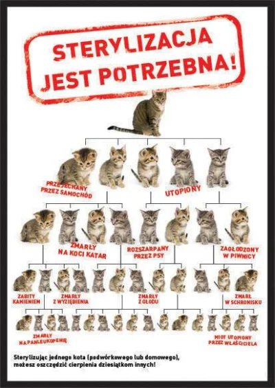 goodexcuse - @dozownikcelkowy: nie będą lub odbiorą szczęście innym. Koty należy ster...