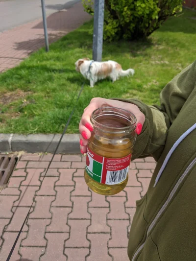 kurt_hectic - #pies #heheszki #logikarozowychpaskow moja dziewczyna robi sobie kawę l...