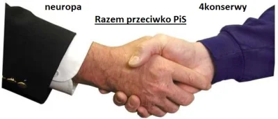 NaczelnyWoody - Wojna między kandydatami opozycyjnymi nie ma sensu, czas się zjednocz...