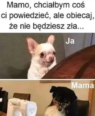 dobrzecisiewydaje - @Tfor: mama byla zła