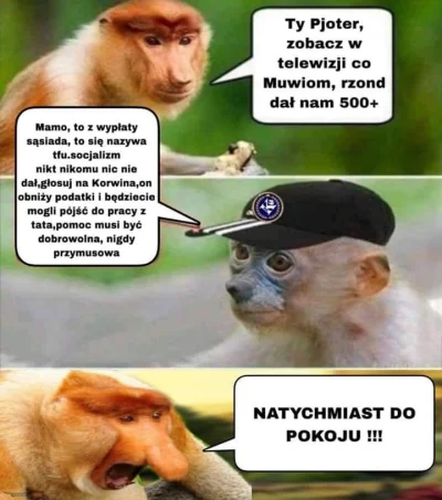 Brakus - #nosaczsundajski
#konfederacja
#korwin
#humorobrazkowy