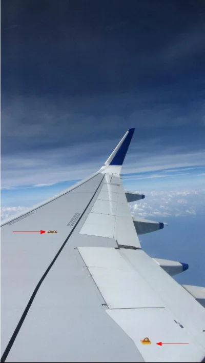 profumo - Zolte zaczepy na skrzydle Airbusa 320 to tzw. eyelets. W przypadku wodowani...