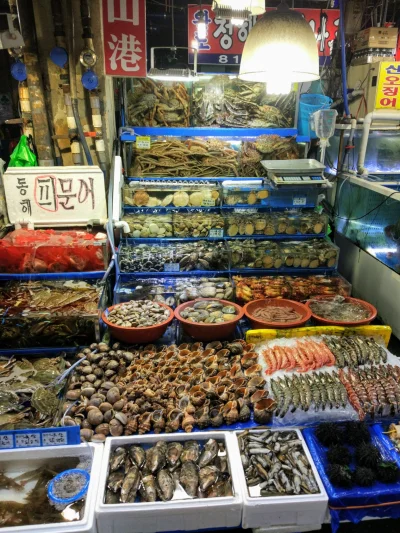 kotbehemoth - Bardzo popularny targ z rybami i owocami morza w Seulu - Noryangjin. Og...