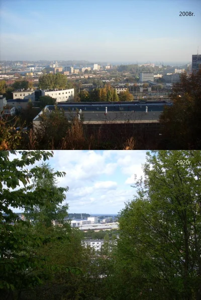 WroTaMar - Chciałbym zrobić ponownie taką panoramę, ale górka mocno zarosła.
Widać t...