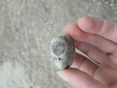 alla232 - To jakiś jeżowiec, czy zwykły kamień?
#kamienie #mineraly #skamieliny
