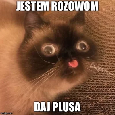 p.....k - Cześć nocna ʕ•ᴥ•ʔ

SPOILER