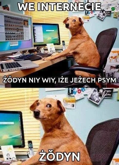 jabadabadupka - Pamietam czasy gdy za ten obrazek wchodziło się w gorące ( ͡° ͜ʖ ͡°) ...