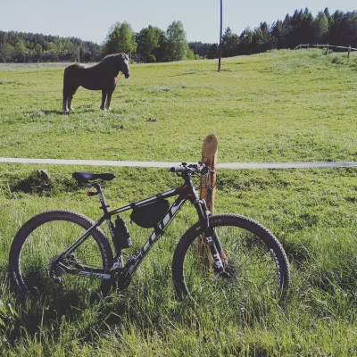reddin - @chosenon3: Pomorskie here! I mam zdjęcie z koniem w słońcu, tak, żeby podgr...
