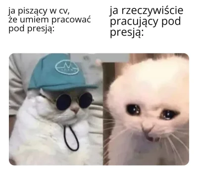 dwojra - #pracbaza #memy #humorobrazkowy #smiesznekotki