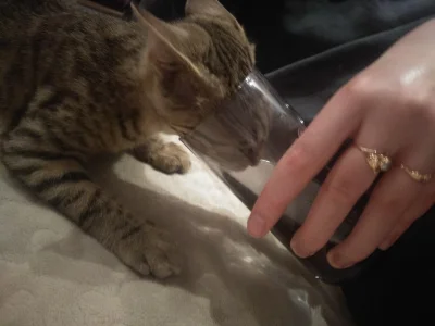 ZieloneJabuszkoRosnie_Sobie - @HeavyNuts: @MrMarcin93: tez mam identycznego