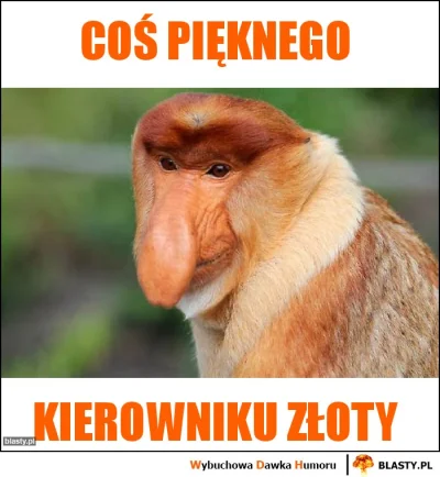 czarodziejkazksiezyca