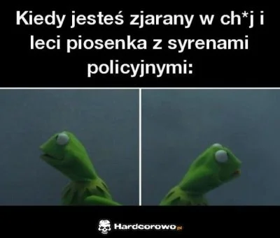 p.....7 - Pewnie miał haluny jak Kermit podczas słuchania piosenki z syrenami w tle.....