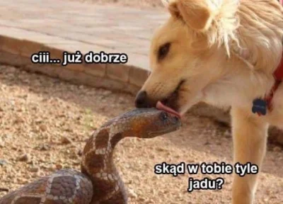 ZeT_ - @Dzieban: Skąd w tobie tyle jadu?