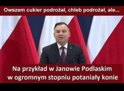 niedzwiedzmis - #bekazpisu #polityka #bekazdudy