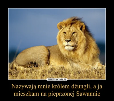 SoboleskU - @Mysciak: 
 lew jest krolem dzungli

@Mysciak: to nieprawda.Lwy występu...