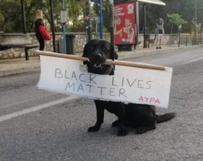 thisisagoodday_today - #blacklivesmatter #usa #goodboi