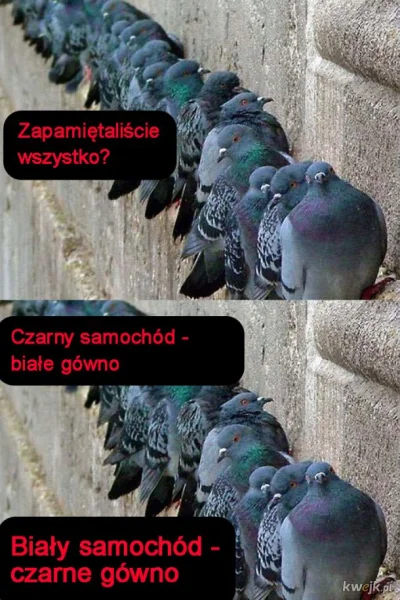 januszzczarnolasu - Aż dziwne, że nie nasrał.( ͡° ͜ʖ ͡°)