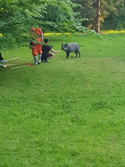 PazuryCezura - W środę go widziałem w parku w ogóle się nie bał