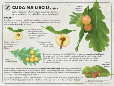 Lifelike - #graphsandmaps #przyroda #natura #rosliny #ciekawostki #infografika