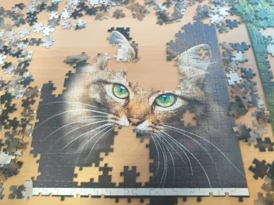 Zaczytanaa - Te puzzle (1500) wybitnie idą mi jak po gruzie, ale kitku ślicznyᶘᵒᴥᵒᶅ
...