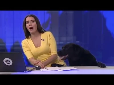 A.....1 - @penknientyjerz: czarny pies zaatakował prezenterkę wiadomości.
( ͡° ͜ʖ ͡°...