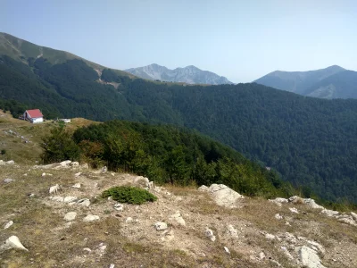 apartamenty_Czarnogora - @Krupier: tak góry są super fotka z działki mojego taty, gór...