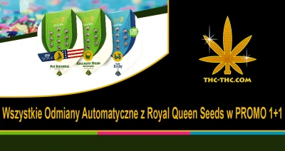 THC-THC - @THC-THC: PROMO 1+1: Wszystkie auto kwitnące odmiany z Royal Queen Seeds w ...