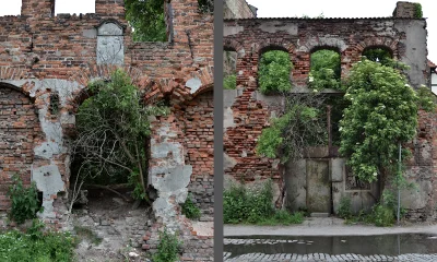 PrzewodniG - Po lewej: wejście do ruin XVIII-wiecznego spichlerza Trupia Czaszka przy...