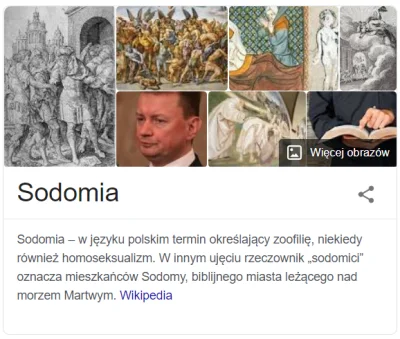 Tomozo - Czemu jak się wpisze w google'u "sodomia" to wyskakuje morda Błaszczaka? XD
...