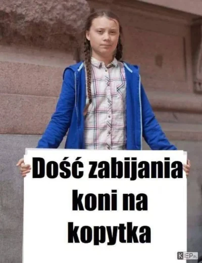 kacperkrakow - #heheszki #humorobrazkowy #gretathunberg