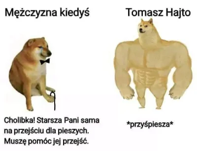 Lisu95 - #humorobrazkowy #heheszki #tomaszhajto #piesel #doge #hajto