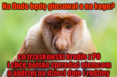 Mescuda - #bekazpisu #polak #humorobrazkowy #polityka