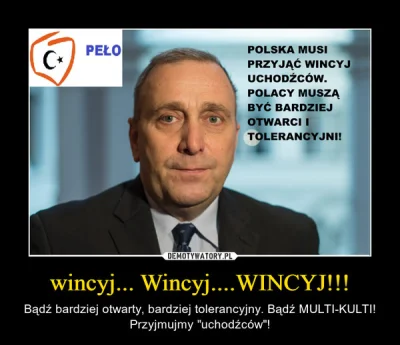 piczu - > 5. Lęk przed różnorodnością. ✓ (imigranci)