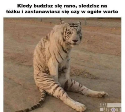 p.....k - #dziendobry zwyrole #heheszki #humorobrazkowy