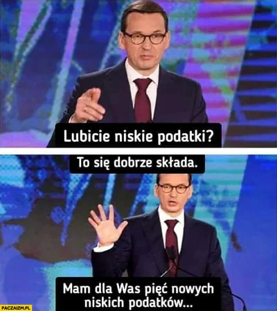 panczekolady - W Polsce jak w lesie.