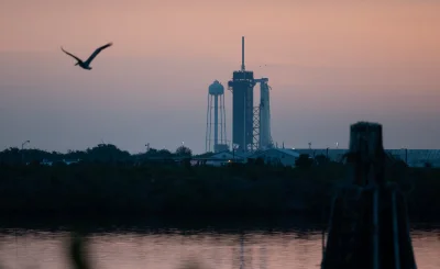 GRav - @GRav: Falcon 9 w tle przelatującego, popularnego na wykopie zwierzątka, pelik...