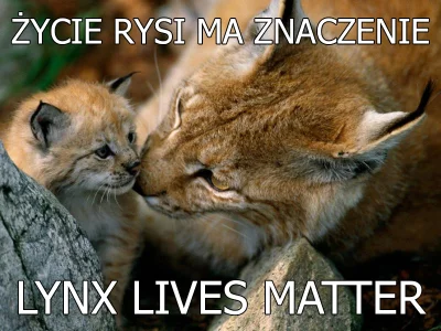 Herushingu - #lynxlivesmatter