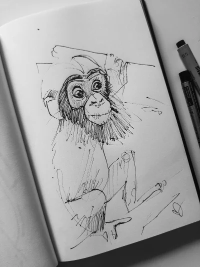 milalulu - @milalulu: Bardzo bardzo bardzo szybki szkic. Małpeczka. Mirki, co naszkic...