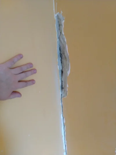 kanarex - Mirki #remontujzwykopem popękane ściany w domu z 1995, wszędzie podkuwam gd...